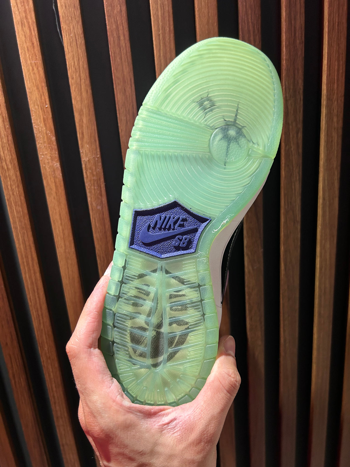 TENIS NIKE SB DUNK LOW PRO X HAYLEY