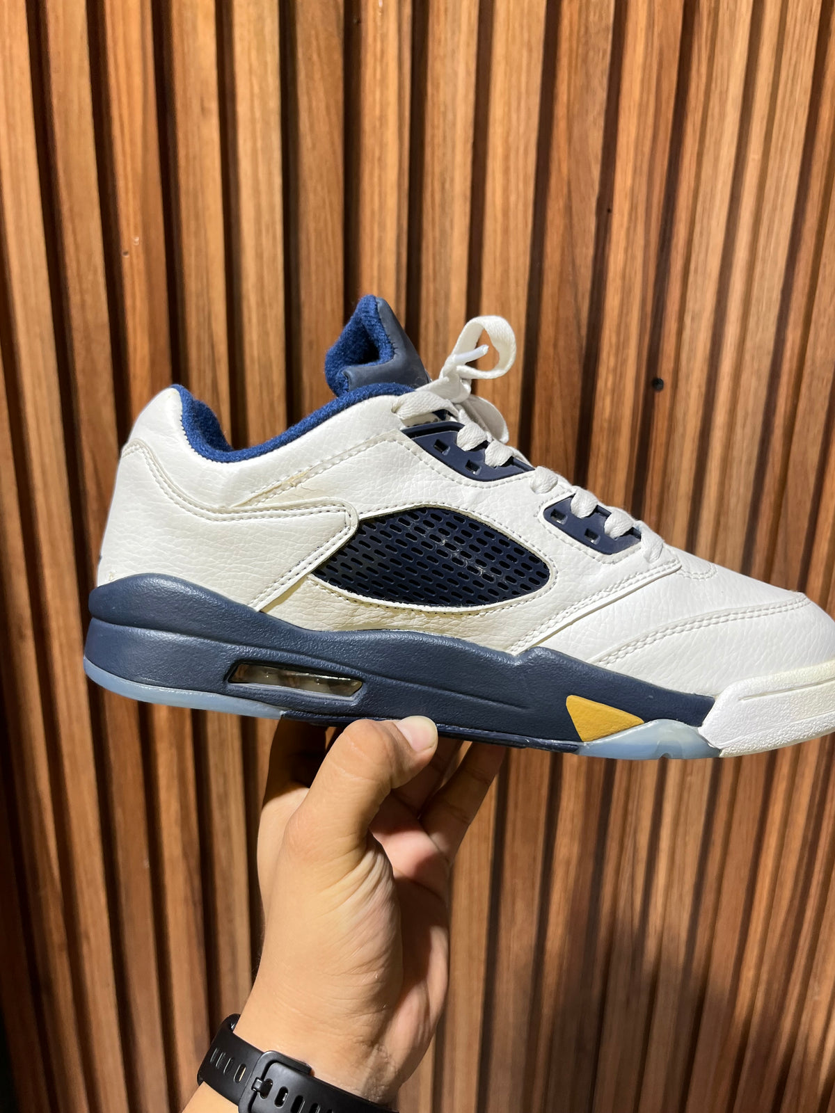 Tenis Air Jordan 5 Retro Low Dunk From Above