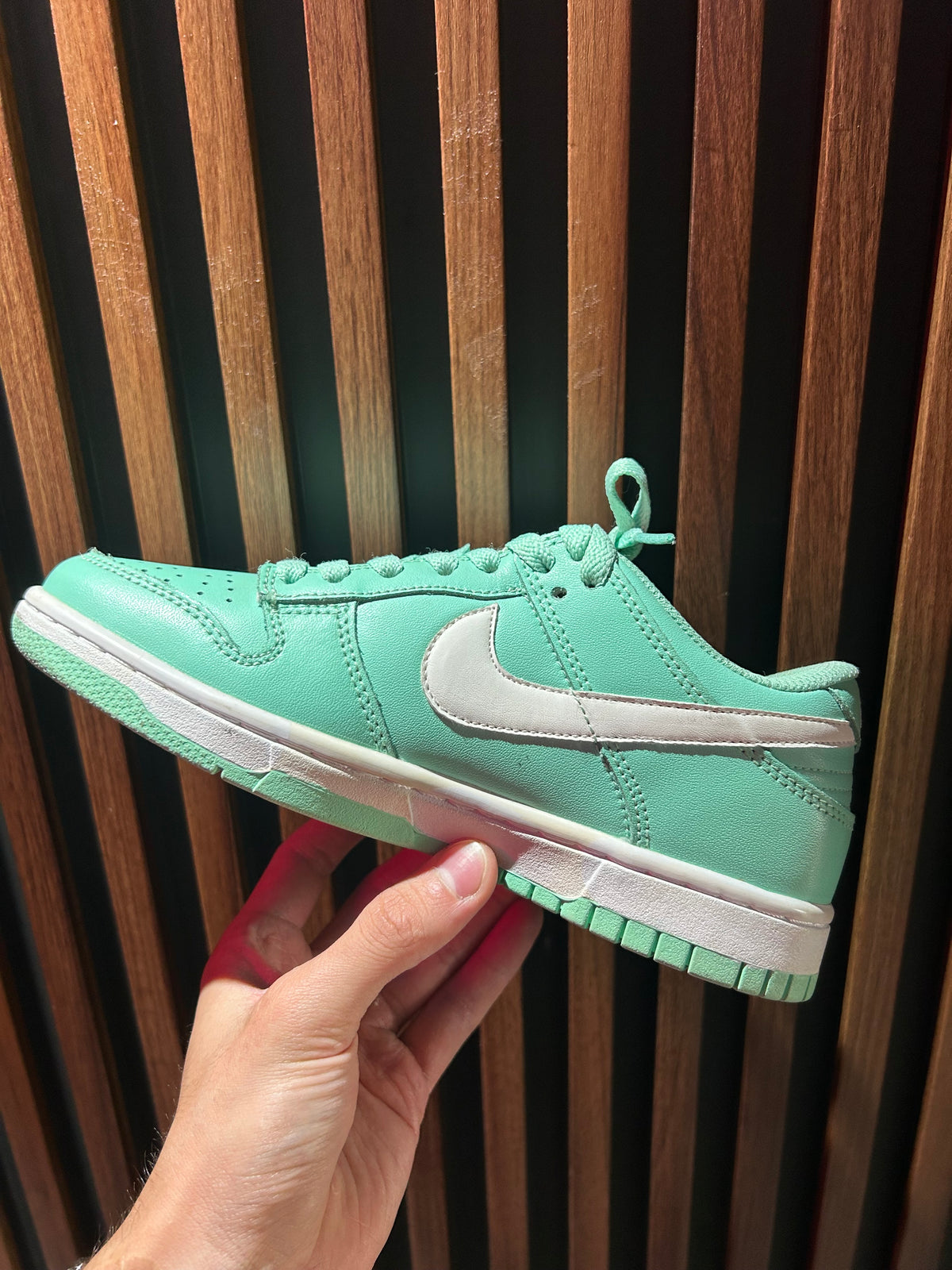 TENIS NIKE DUNK LOW