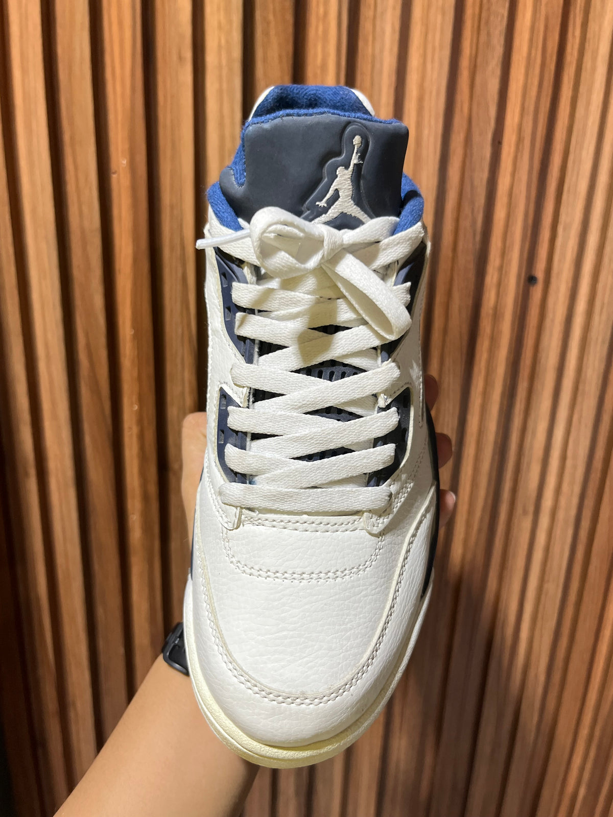 Tenis Air Jordan 5 Retro Low Dunk From Above