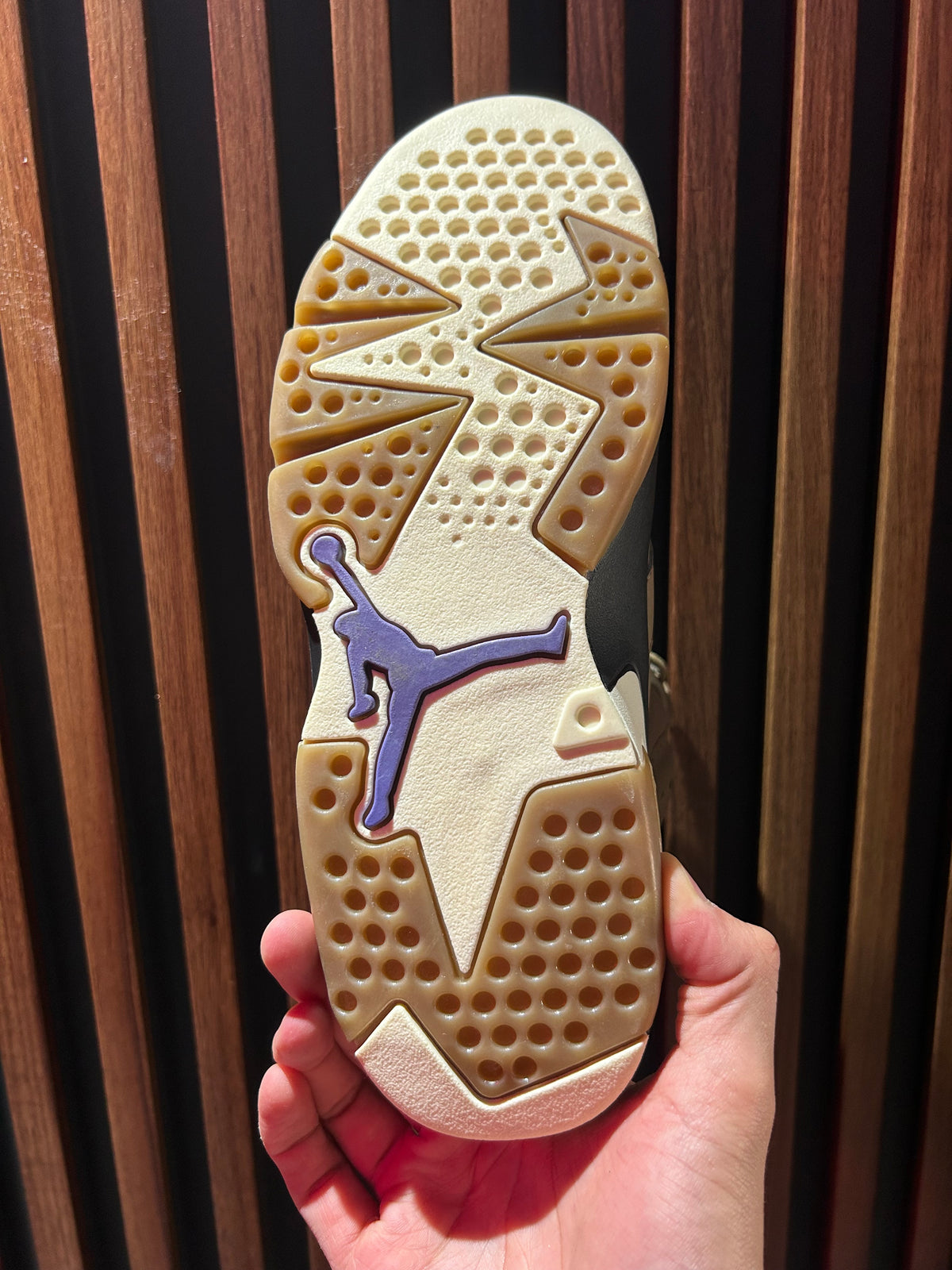 TENIS AIR JORDAN 6 RETRO GORE TEX BROWN KELP