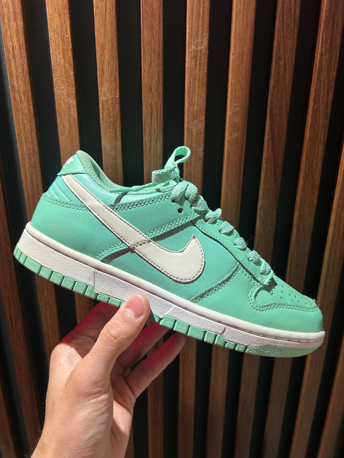 TENIS NIKE DUNK LOW