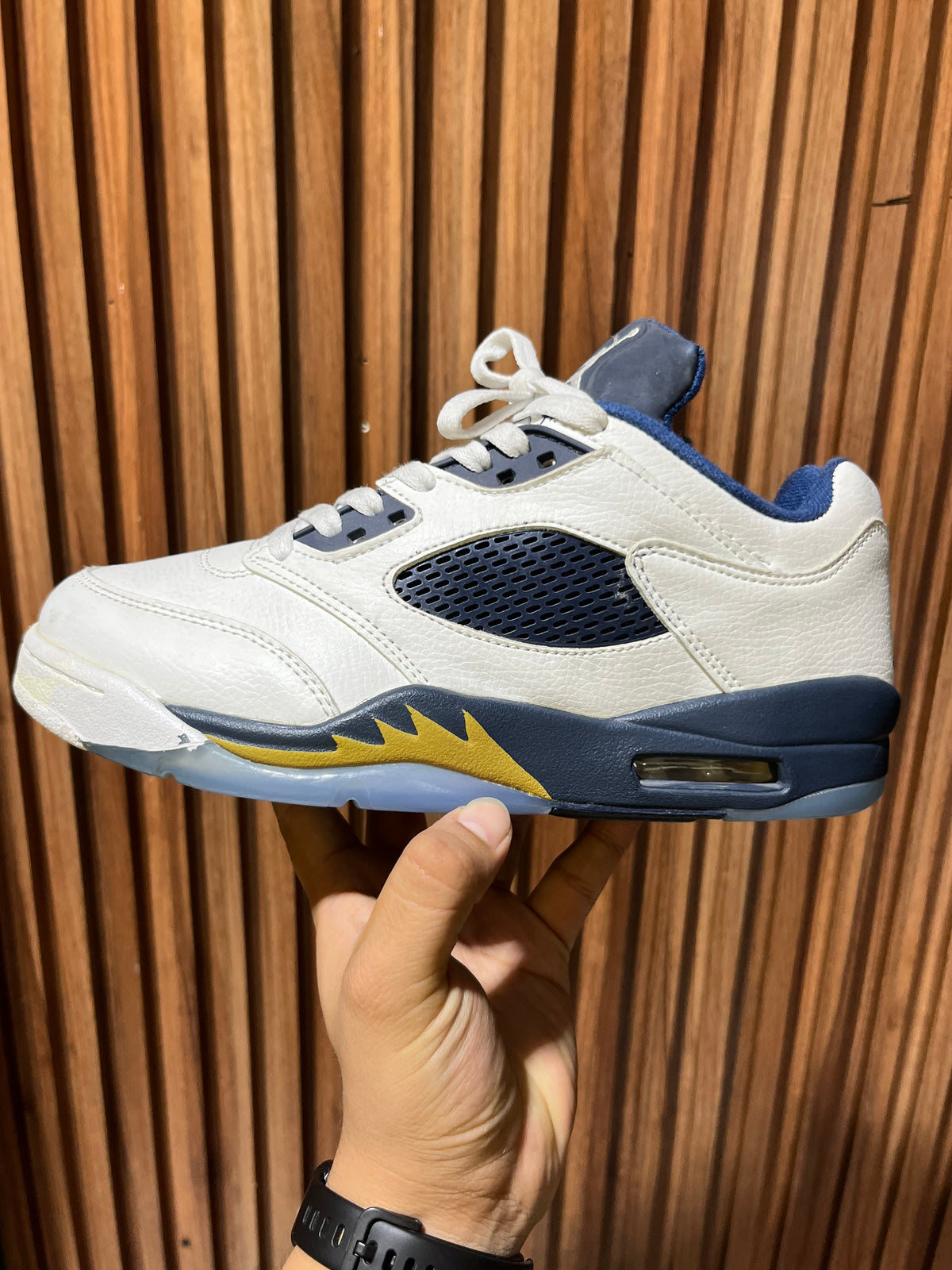 Tenis Air Jordan 5 Retro Low Dunk From Above