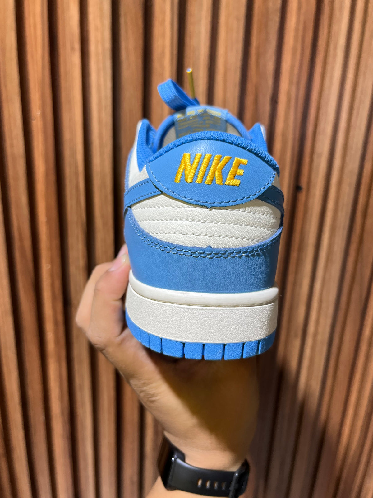 Tenis Nike Dunk Low Coast