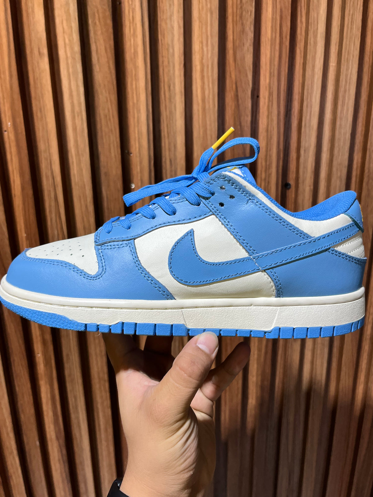 Tenis Nike Dunk Low Coast
