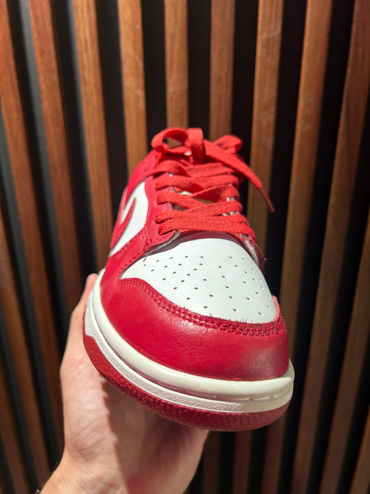 TENIS NIKE DUNK LOW
